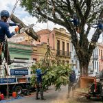 jardinagem2-protegelar-brasil